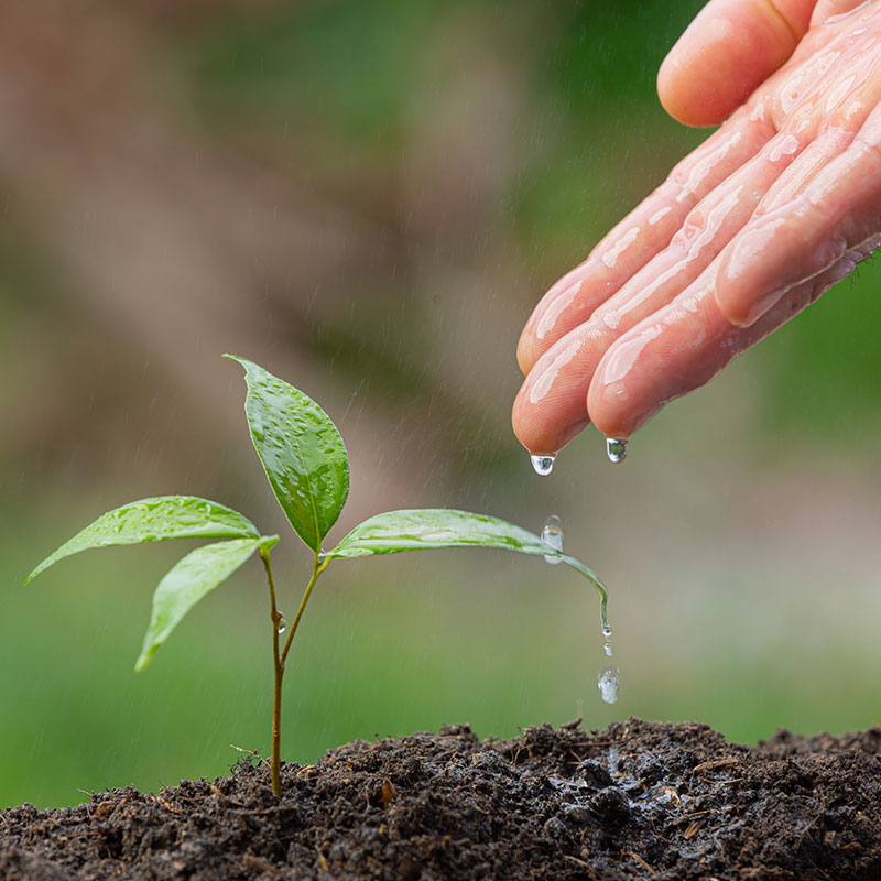 A warm, reflective supervision setting
