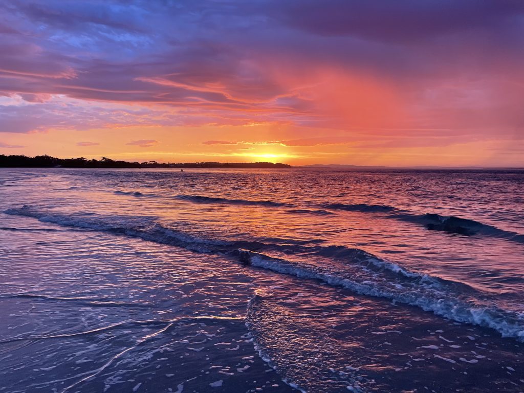 Participants engaged in professional development at an SVS training workshop